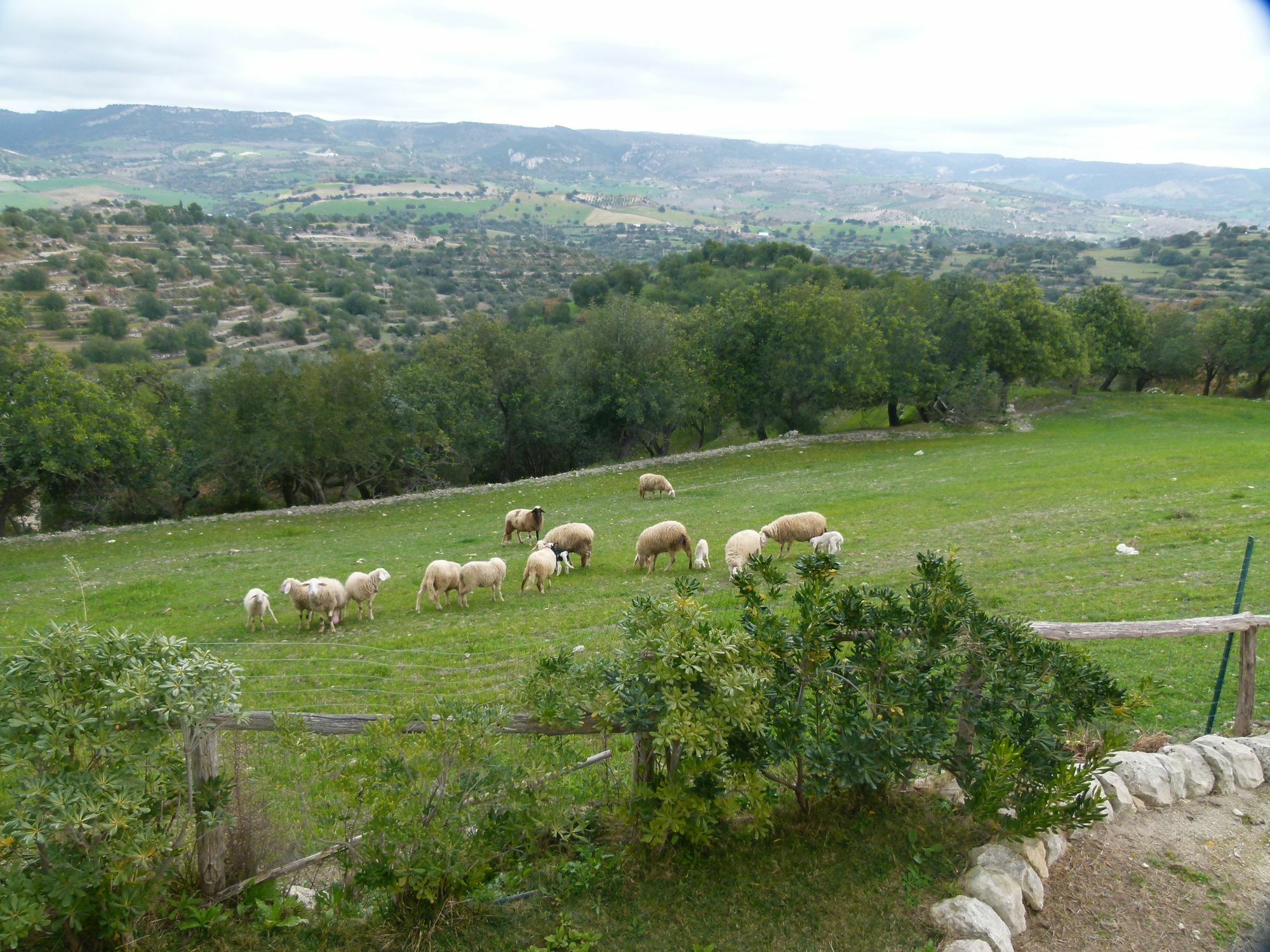 Agriturismo Villa Gaia Modica Exteriör bild